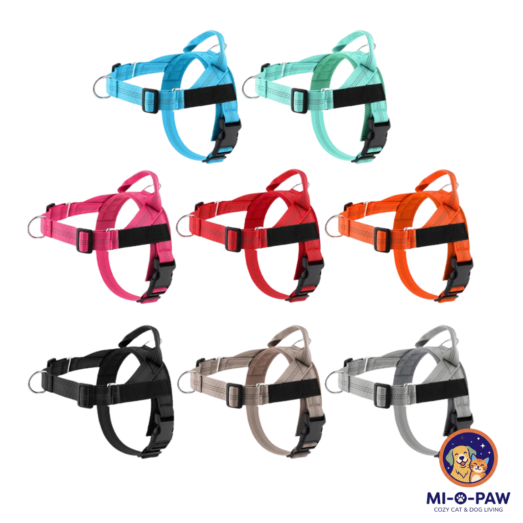 Custom Name Reflective Padded Dog Harness for Small & Medium Dogs