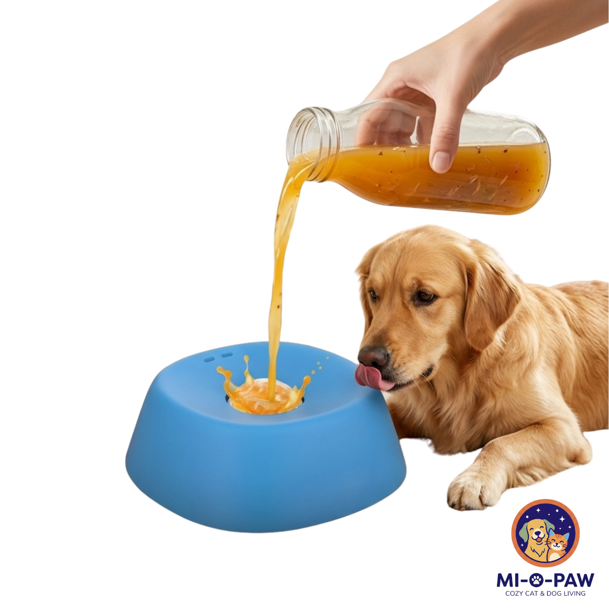 Calming Lick & Feast Slow Feeder Bowl