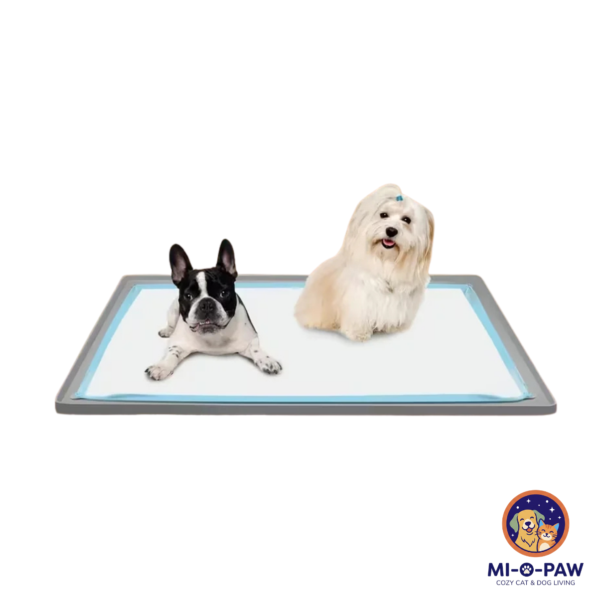 Non-Slip Silicone Dog Potty Tray & Training Pad