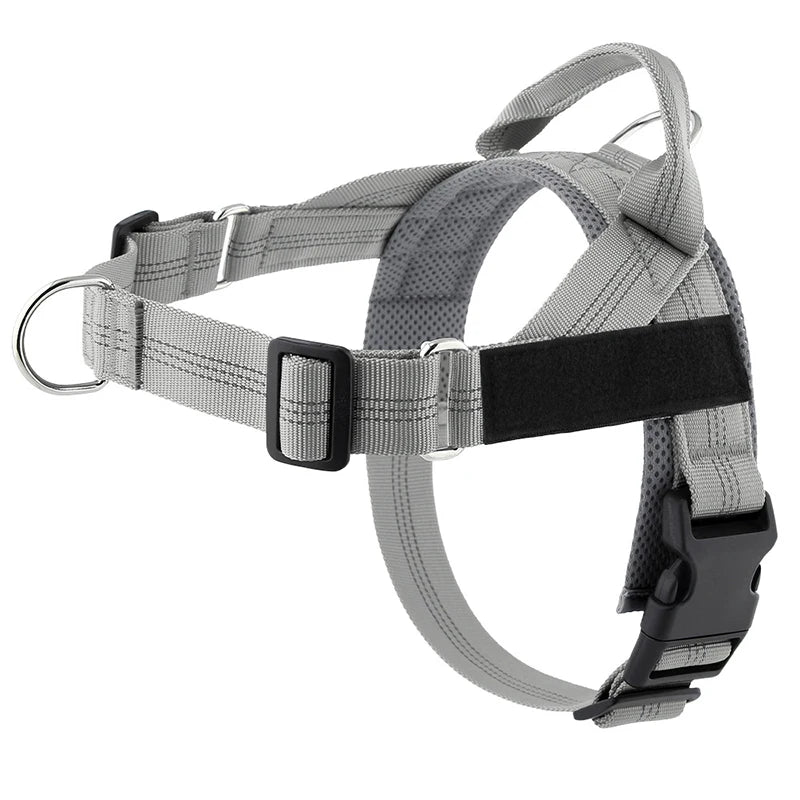 Custom Name Reflective Padded Dog Harness for Small & Medium Dogs