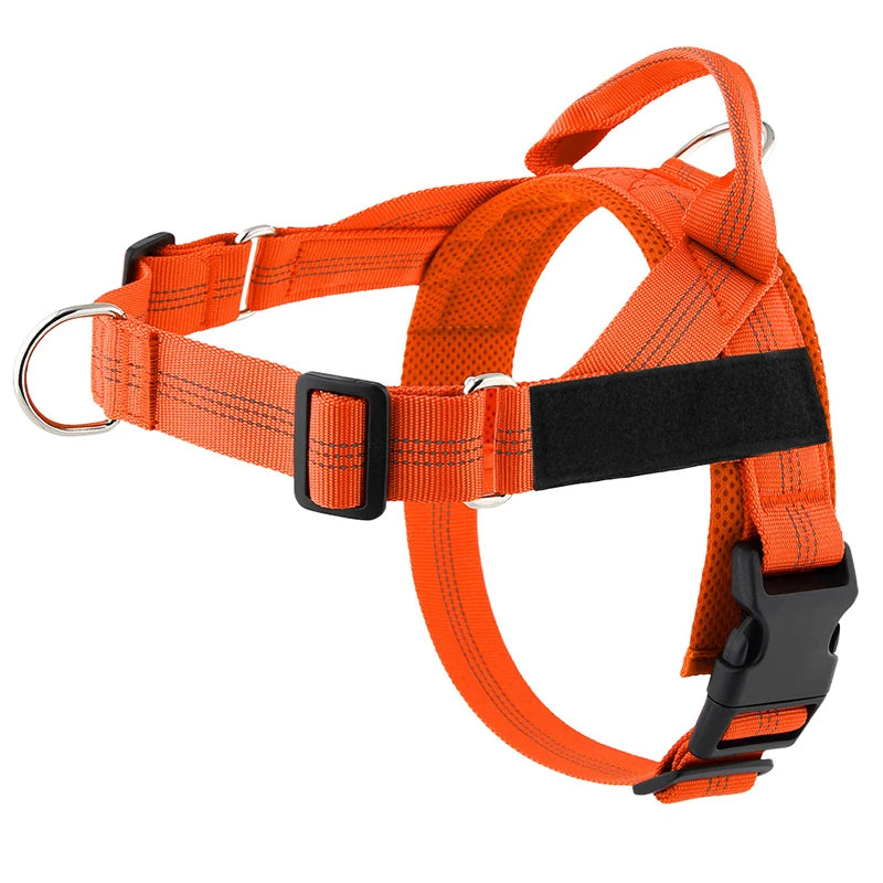 Custom Name Reflective Padded Dog Harness for Small & Medium Dogs